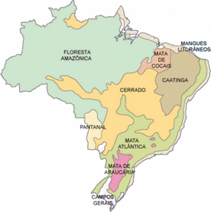 Mapa da Vegetação Original do Brasil