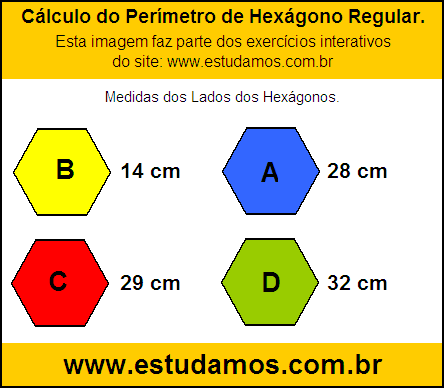 Hexagono Com Lados Medindo 28 cm