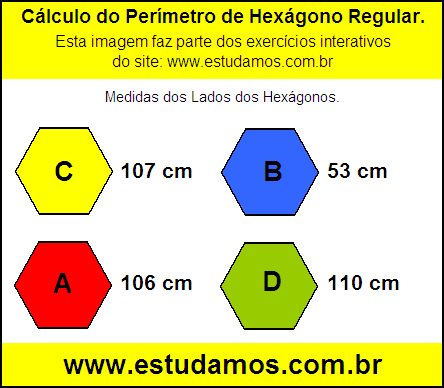 Hexagono Com Lados Medindo 53 cm