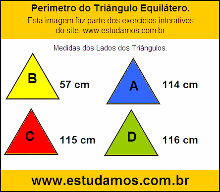 Perímetro Triângulo Equilátero Com Lados Medindo 114 cm
