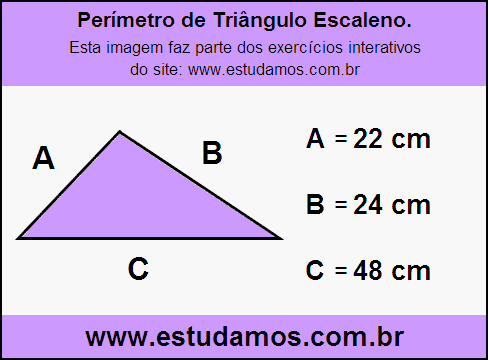 Triângulo Escaleno Com Lados Medindo 22 cm, 24 cm e 48 cm