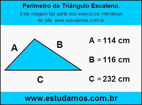 Triângulo Escaleno Com Lados Medindo 114 cm, 116 cm e 232 cm