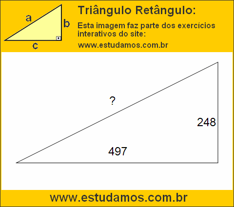 Triângulo Retângulo Com Catetos Medindo 248 e 497 Metros