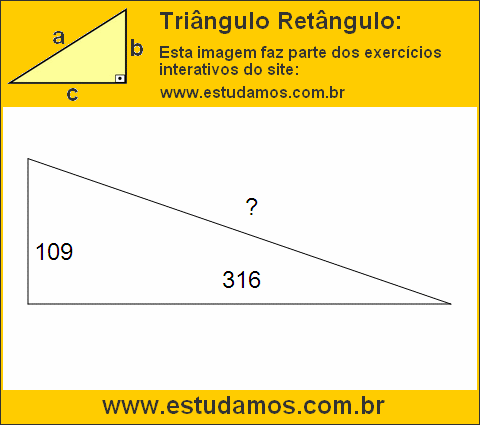 Triângulo Retângulo Com Catetos Medindo 109 e 316 Metros