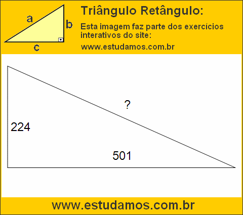 Triângulo Retângulo Com Catetos Medindo 224 e 501 Metros