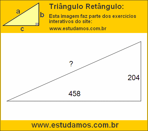 Triângulo Retângulo Com Catetos Medindo 204 e 458 Metros