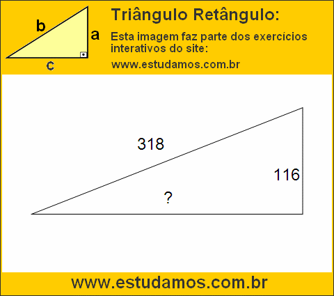 Triângulo Retângulo Com Hipotenusa Medindo 318 Metros
