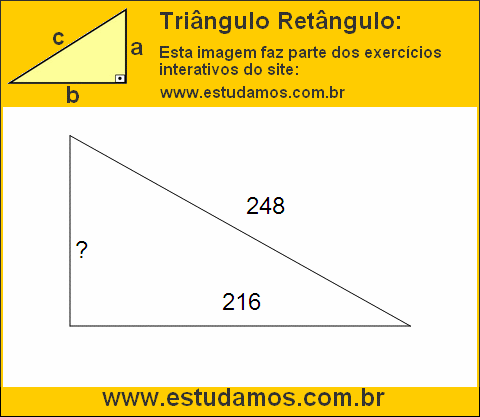 Triângulo Retângulo Com Um dos Lados Medindo 248 Metros
