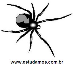 Aranha