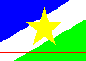 Bandeira de Roraima