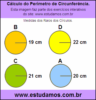 Circunferência Com Raio de 19 cm