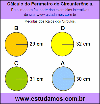 Circunferência Com Raio de 29 cm