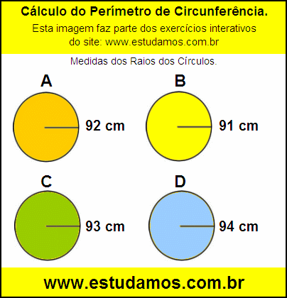 Circunferência Com Raio de 91 cm