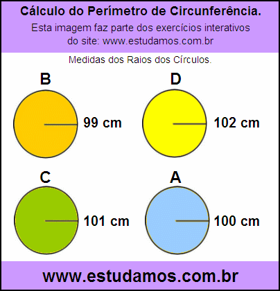 Circunferência Com Raio de 101 cm