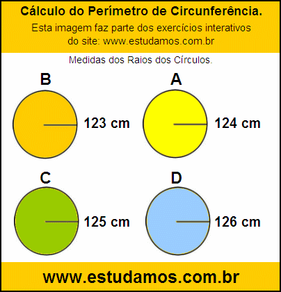 Circunferência Com Raio de 123 cm