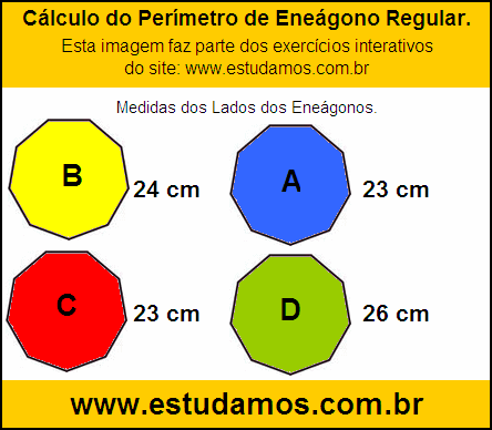 Eneágono Regular Com Lados Medindo 23 cm