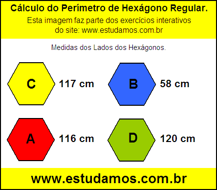 Hexagono Com Lados Medindo 116 cm