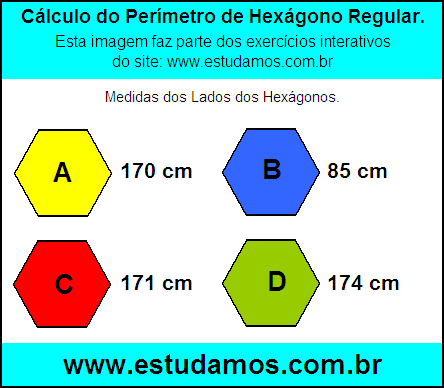 Hexagono Com Lados Medindo 170 cm