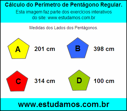 Pentágono Com Lados Medindo 398 cm