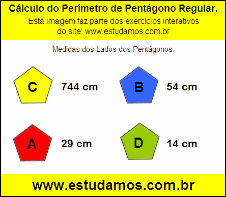 Pentágono Com Lados Medindo 29 cm