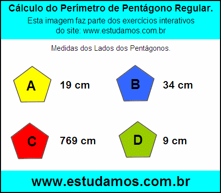 Pentágono Com Lados Medindo 769 cm