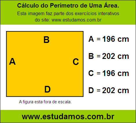 Retângulo Medindo 202 cm na Base e 196 cm de Altura