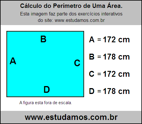 Retângulo Medindo 178 cm na Base e 172 cm de Altura