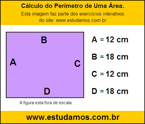 Retângulo Medindo 18 cm na Base e 12 cm de Altura