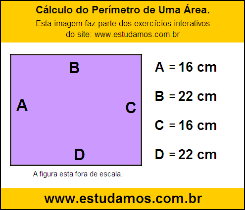 Retângulo Medindo 22 cm na Base e 16 cm de Altura