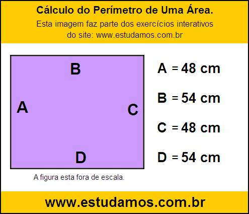 Retângulo Medindo 54 cm na Base e 48 cm de Altura