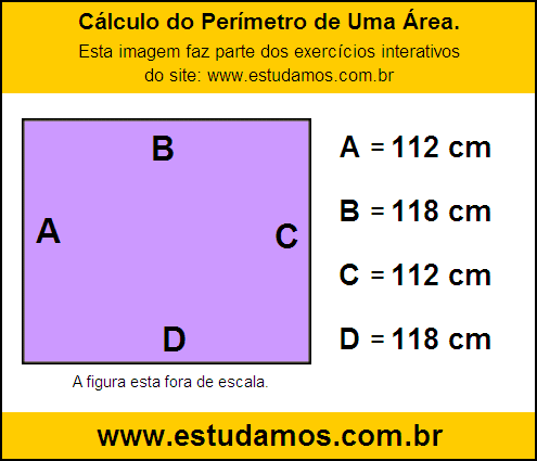 Retângulo Medindo 118 cm na Base e 112 cm de Altura