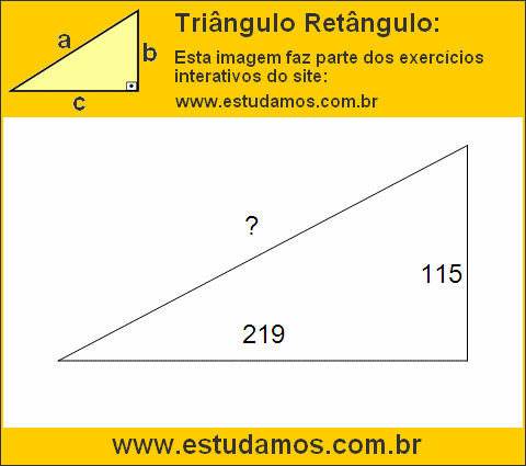 Triângulo Retângulo Com Catetos Medindo 115 e 219 Metros